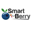 smartberry limited