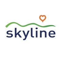 skyline ife limited