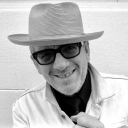 elvis costello limited