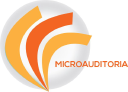 micro-audit limited