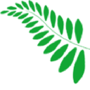 dystlegh grange limited