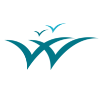 scarecrow group limited