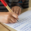 york steiner school limited