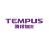 tempus group limited