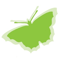 st. catherine's hospice (lancashire) limited