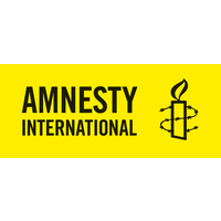 amnesty international limited