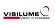 visilume limited