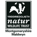 montgomeryshire wildlife trust limited