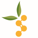 de monchy aromatics limited