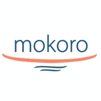 mokoro limited