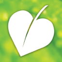 anh international limited