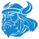 viking pumps limited