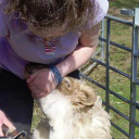 nancy fisher limited