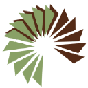 cowdery & morris limited