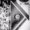 hunts county bats limited