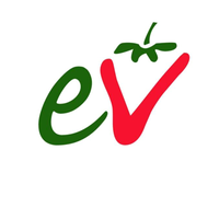 edward vinson limited