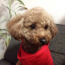 k.s. garages limited