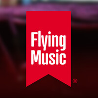 the flying music group ltd