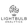 lightbulb analytics limited