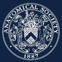 anatomical society