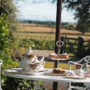 elmfield house limited