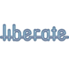 liberate engineering limited