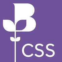 chamber skills solutions limited