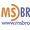 m.s. brokers limited