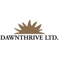 dawnthrive limited