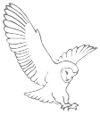 hann tucker associates limited