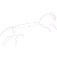 whitehorse estates limited