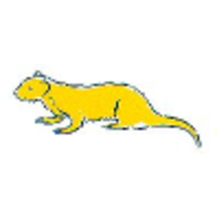 ferret information systems limited