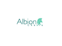 albion chairs limited
