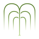 willow management limited