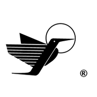 technology in action group limited
