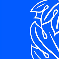 acanthus w s m architects limited