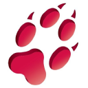 cunning running software limited