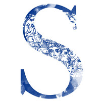 somerville financial services limited