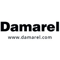 damarel systems international limited