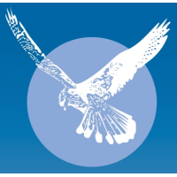 kestrel guards limited