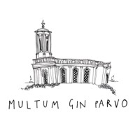 multum gin parvo limited