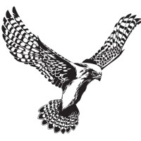 kestrel aluminium systems limited