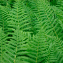 emc consultants limited