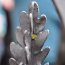 riverhouse barn limited