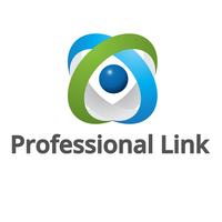 professional link limited