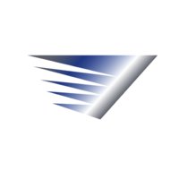 via software systems limited