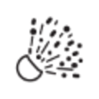 constant systems limited