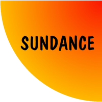 sundance multiprocessor technology limited