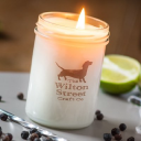 wilton street limited