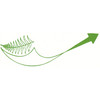 fernway business services limited